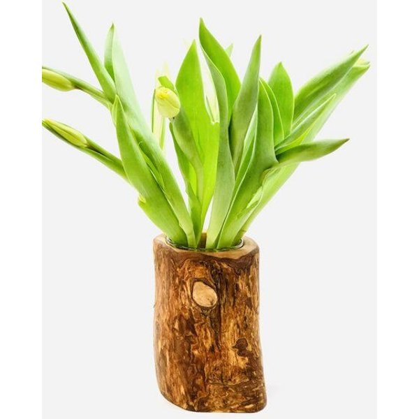 Olivenholz erleben Vase Valentina aus Olivenholz