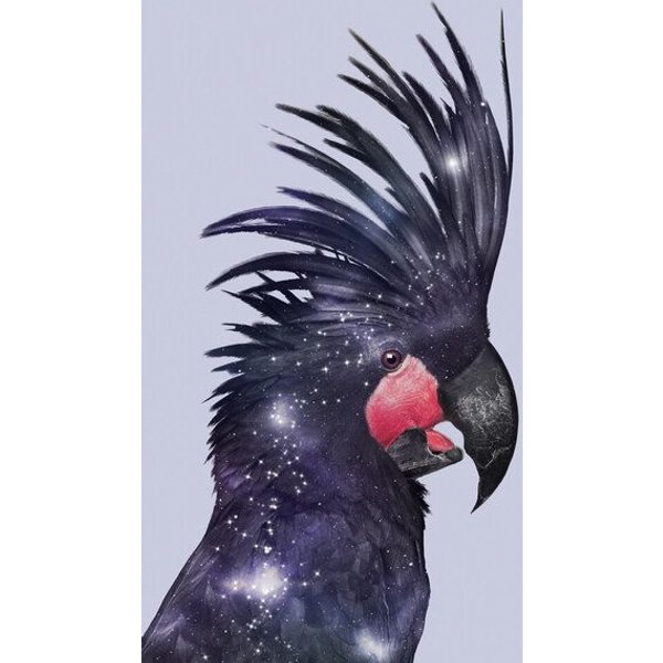 Photocircle Wandbild / Kunstdruck / Poster / Leinwand - Galaxie Vogel