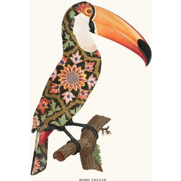 Photocircle Wandbild / Kunstdruck / Poster / Leinwand - Boho Toucan