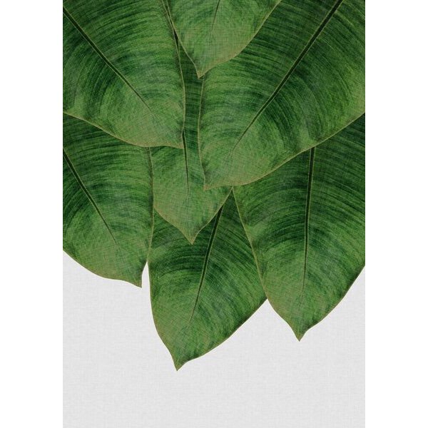 Photocircle Wandbild / Kunstdruck / Poster / Leinwand - Banana Leaf III