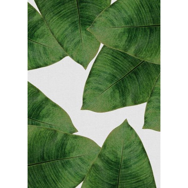 Photocircle Wandbild / Kunstdruck / Poster / Leinwand - Banana Leaf II
