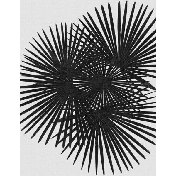 Photocircle Wandbild / Kunstdruck / Poster / Leinwand - Fan Palm Black & White