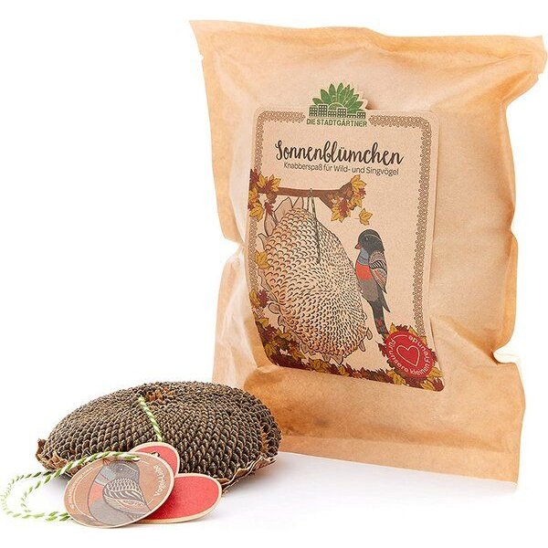 Die Stadtgärtner Schönes Vogelfutter zum Verschenken, Getrocknetes Sonnenblumenköpfchen