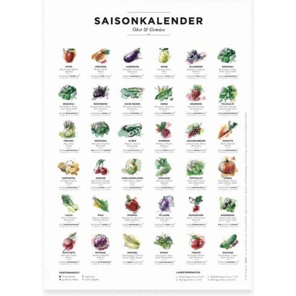531 Rheinland Design Saisonkalender Obst & Gemüse, Format A4, Poster mit 36 Obst- & Gemüsesorten