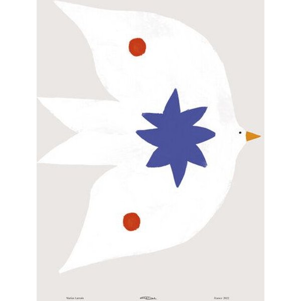 Photocircle Wandbild / Poster / Leinwand - Printed wall art with White bird