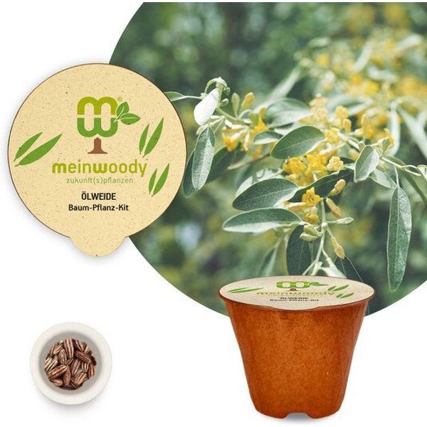 meinwoody Baum-Pflanz-Set
