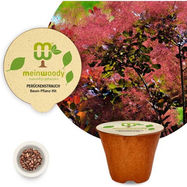 meinwoody Baum-Pflanz-Set