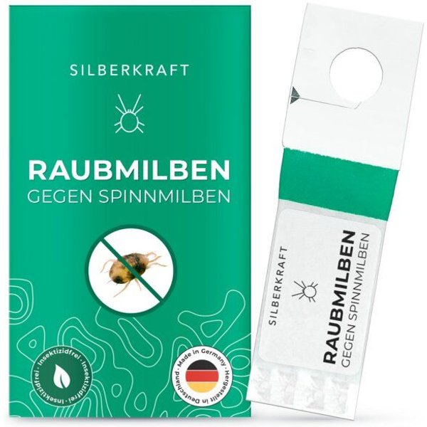 Silberkraft Raubmilben gegen Spinnmilben an Grünpflanzen