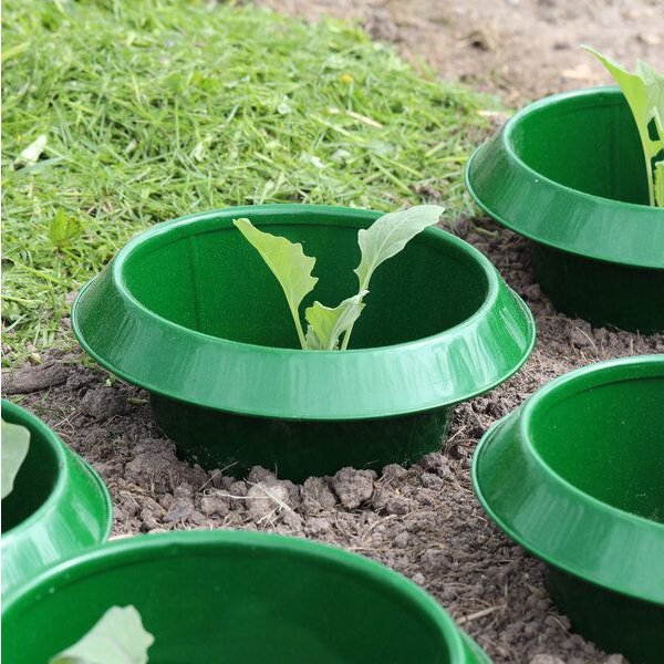 Andermatt Biogarten SchneckenStopp FE klein – Set à 6 Stück– wiederverwendbarer Schneckenkragen aus Stahl zur Anwendung im Garten und auf dem Balkon