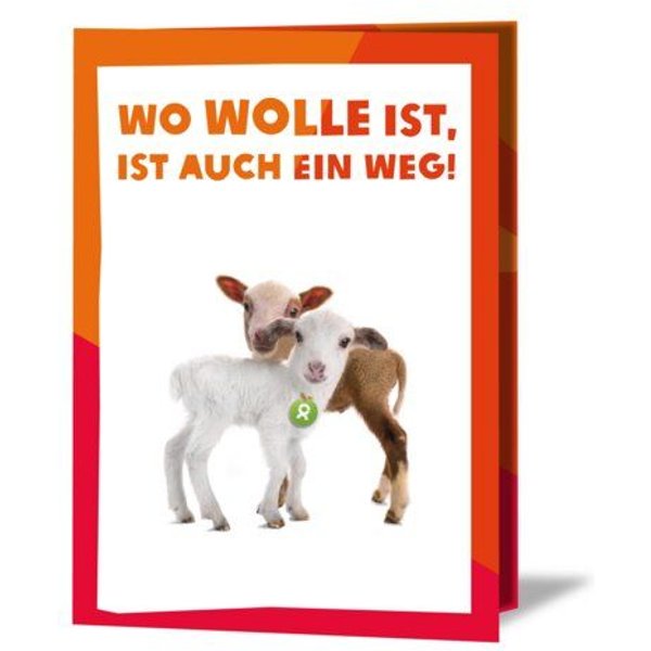 OxfamUnverpackt Spenden-Geschenk "Lammpärchen" (Grußkarte mit Magnet)