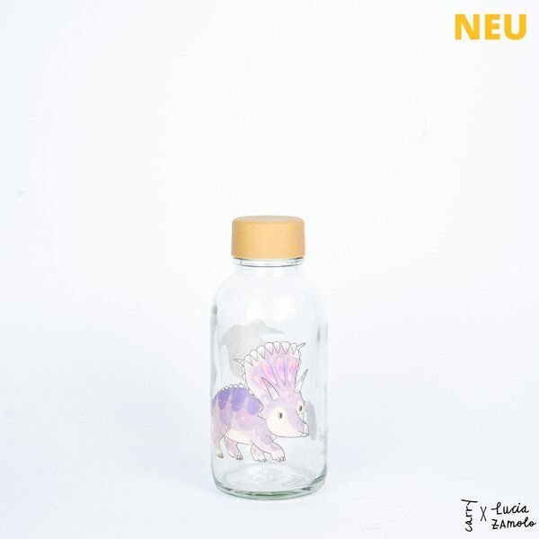 Carry Bottles Glastrinkflasche 0.4l verschiedene Designs