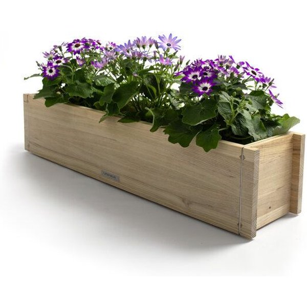 URBANATURE Blumenkasten Robinienholz