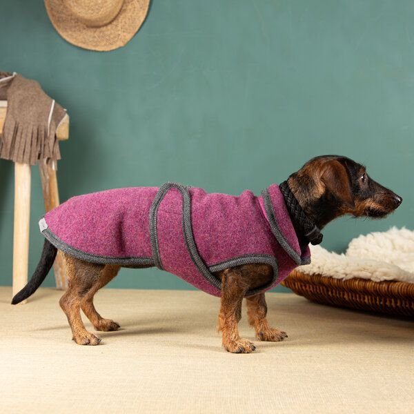 nahtur-design Hundemantel für Dackel | 100 % Schurwolle | warm, wind- & wasserabweisend