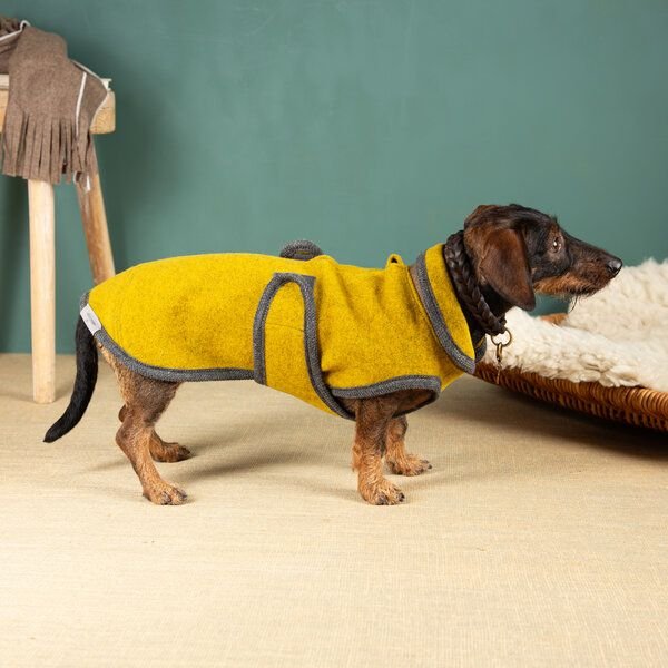 nahtur-design Hundemantel für Dackel | 100 % Schurwolle | warm, wind- & wasserabweisend