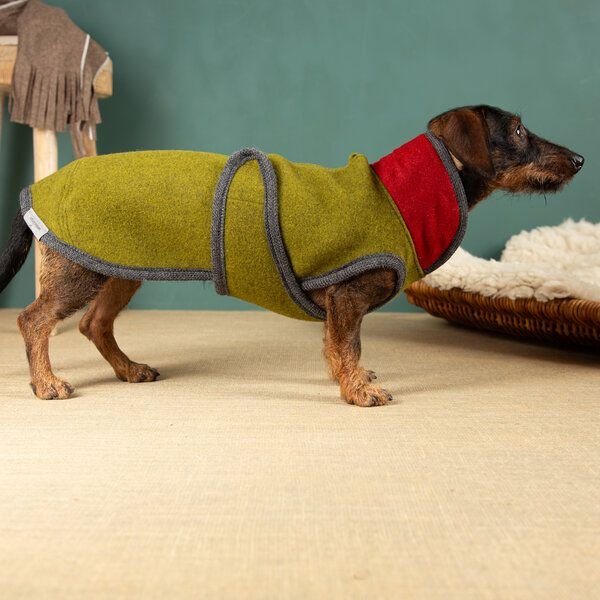 nahtur-design Hundemantel für Dackel | 100 % Schurwolle | warm, wind- & wasserabweisend