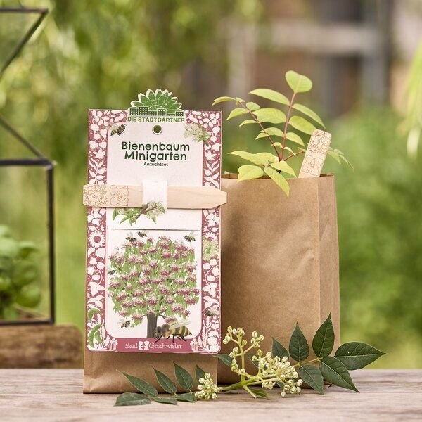 Die Stadtgärtner Anzuchtset Bienenbaum | Tausendblütenstrauch Samen I Geschenk für Gärtner und Naturliebhaber