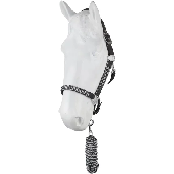 Ensemble Licol Et Longe Pour Cheval Horze Chicago-image