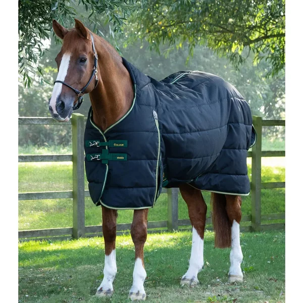 Couverture D'éCurie Pour Cheval Premier Equine Lucanta 450 G-image