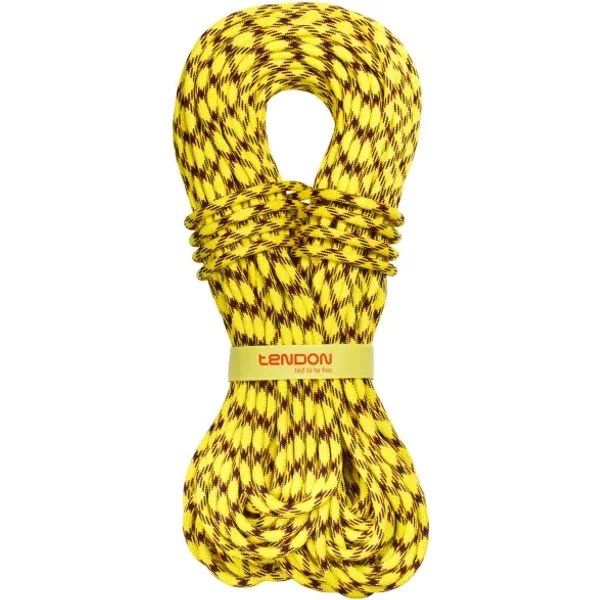 Standard rope Tendon Master 9.7