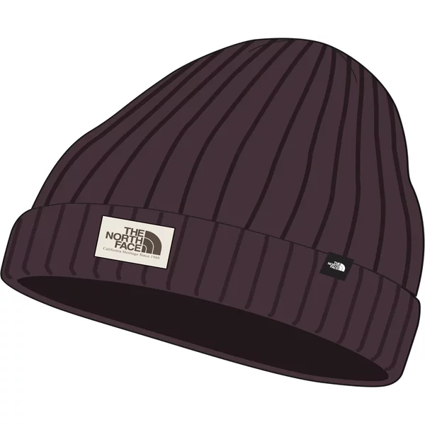Bonnet The North Face Logo Box-image