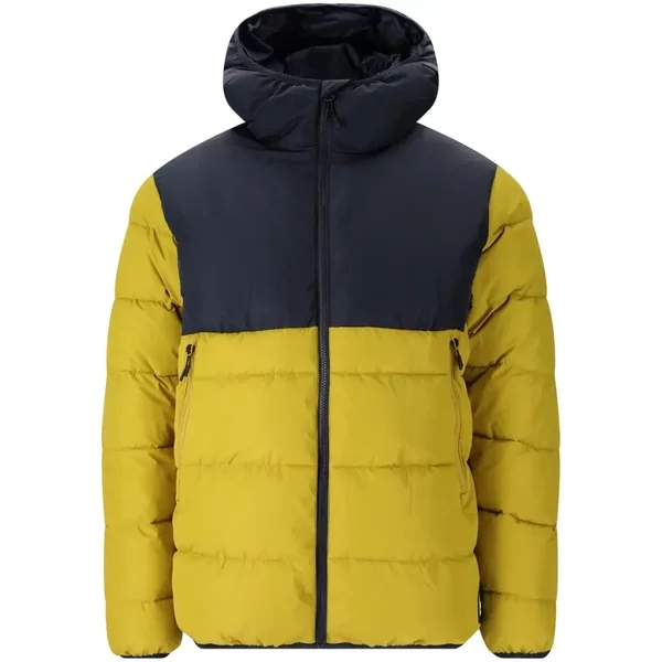Down jacket Whistler Sareto