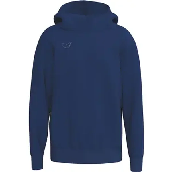Hooded sweatshirt Erima Premia