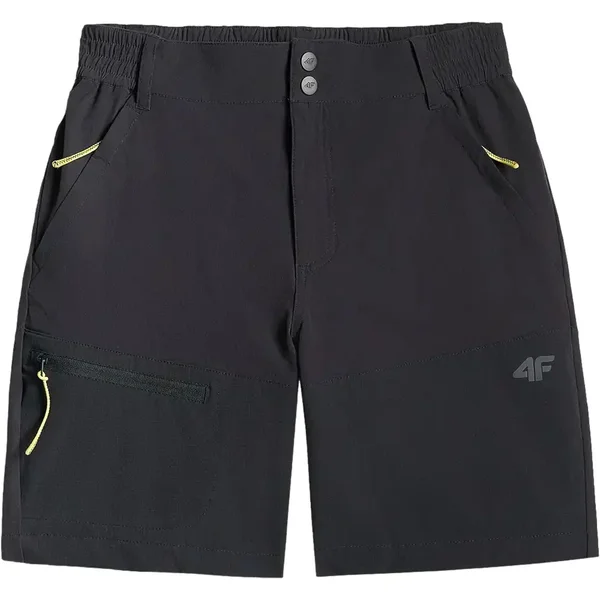 Women's shorts 4F FNK F1572