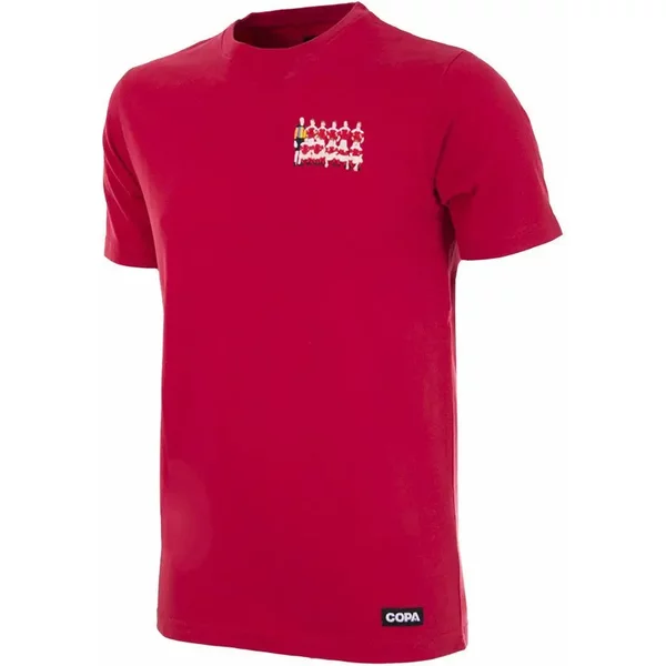 T-Shirt Danemark Champions D'europe 1992-image