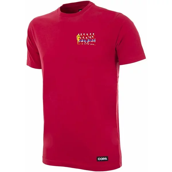 T-Shirt Champions D'europe Espagne 2012-image