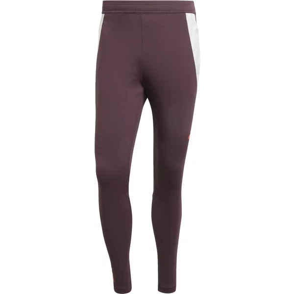 Pantaloni Allenamento Bayern Munich Tiro 2024/25-image