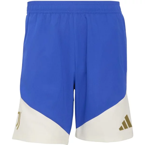 Short Juventus Torino Tiro 2026 Downtime-image