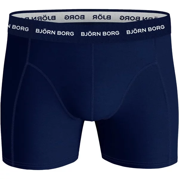 Boxer Björn Borg