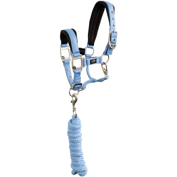 Ensemble Licol Et Longe Pour Cheval BR Equitation Mini Horse-image