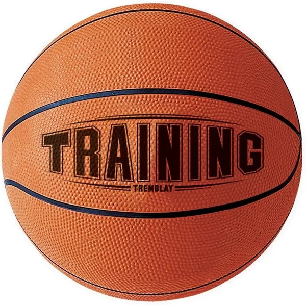 Tremblay Training Basketball-image