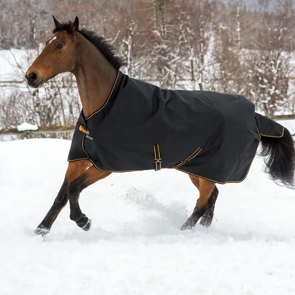Couverture D'extéRieur Pour Cheval Bucas Irish 100G-image
