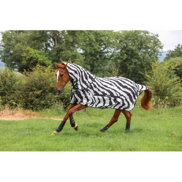 Accessoire Pour Couverture Cheval Bucas Zebra-image