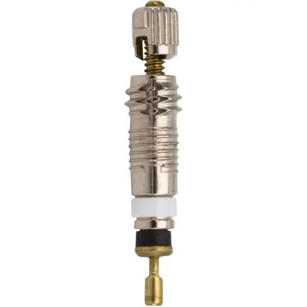 Obus De Valve Captain Protect Presta (X25)-image