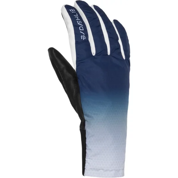 Trainingshandschuhe Daehlie Sportswear Drift