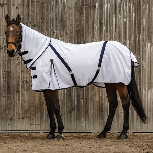 Couverture Anti-Mouches Pour Cheval En Mesh EquithèMe Combo-image