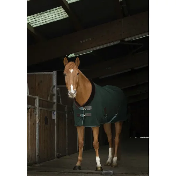 Chemise Pour Cheval EquithèMe Teddy 0G-image