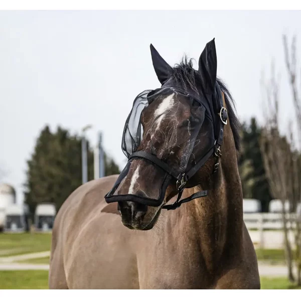 Licol Et Masque Anti-Mouches Anti Uv Pour Cheval EquithèMe-image