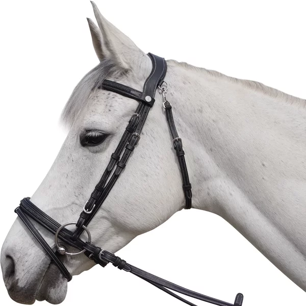 Bridons éQuitation Pour Cheval Flags⋓ Aachen-image