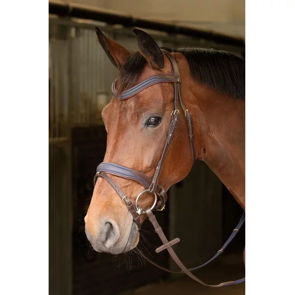 Bridon éQuitation Pour Cheval Harry's Horse Havanna-image