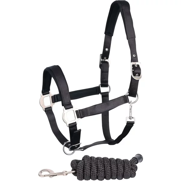 Ensemble Licol Pour Cheval Satin Harry's Horse-image