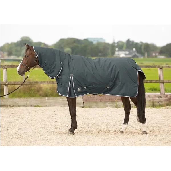 Couverture ExtéRieur Pour Cheval Avec Cou Harry's Horse Thor 200 G-image