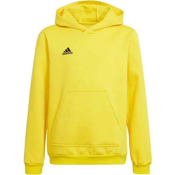 Sweatshirt à capuche enfant adidas Entrada 22