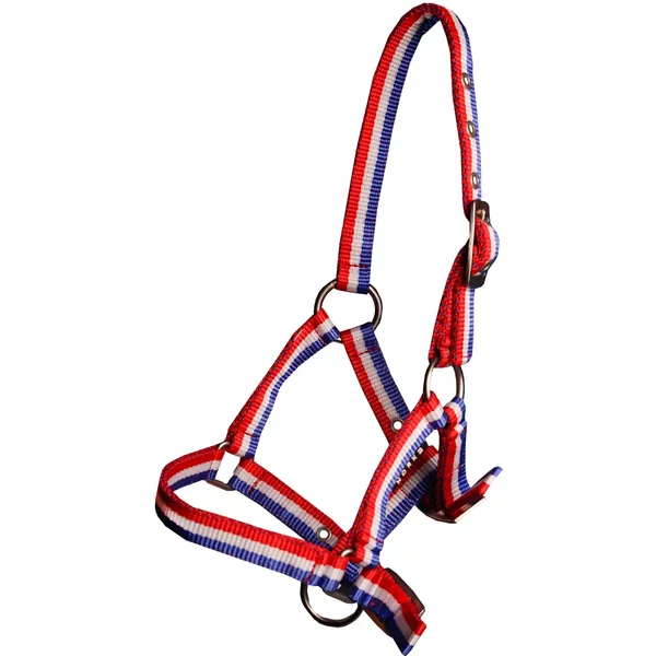 Licol Pour Cheval Poulain Horka-image