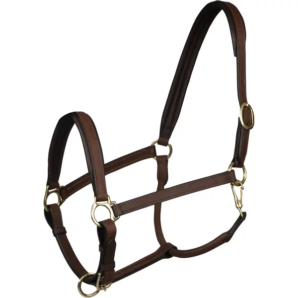 Licol Pour Cheval En Cuir Horka Stockholm-image