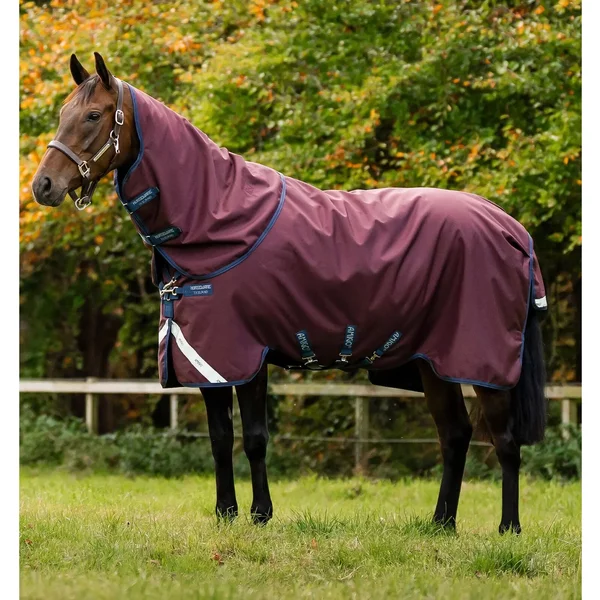 Couverture D'extéRieur Pour Cheval Horseware Amigo 1200D Plus 0G-image