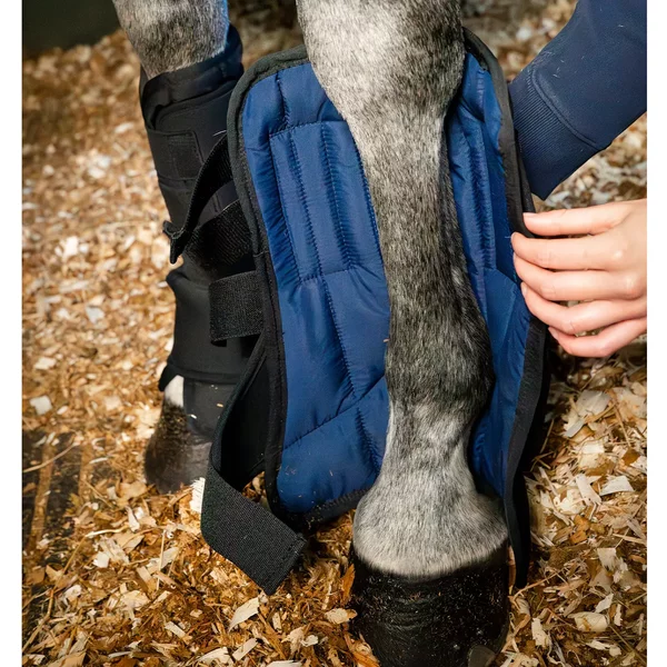 GuêTres Pour Cheval FerméEs Horseware-image